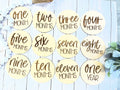 Baby Monthly Milestone Photo Props, Set of 12